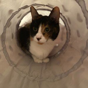 Meet your Posher, Megan